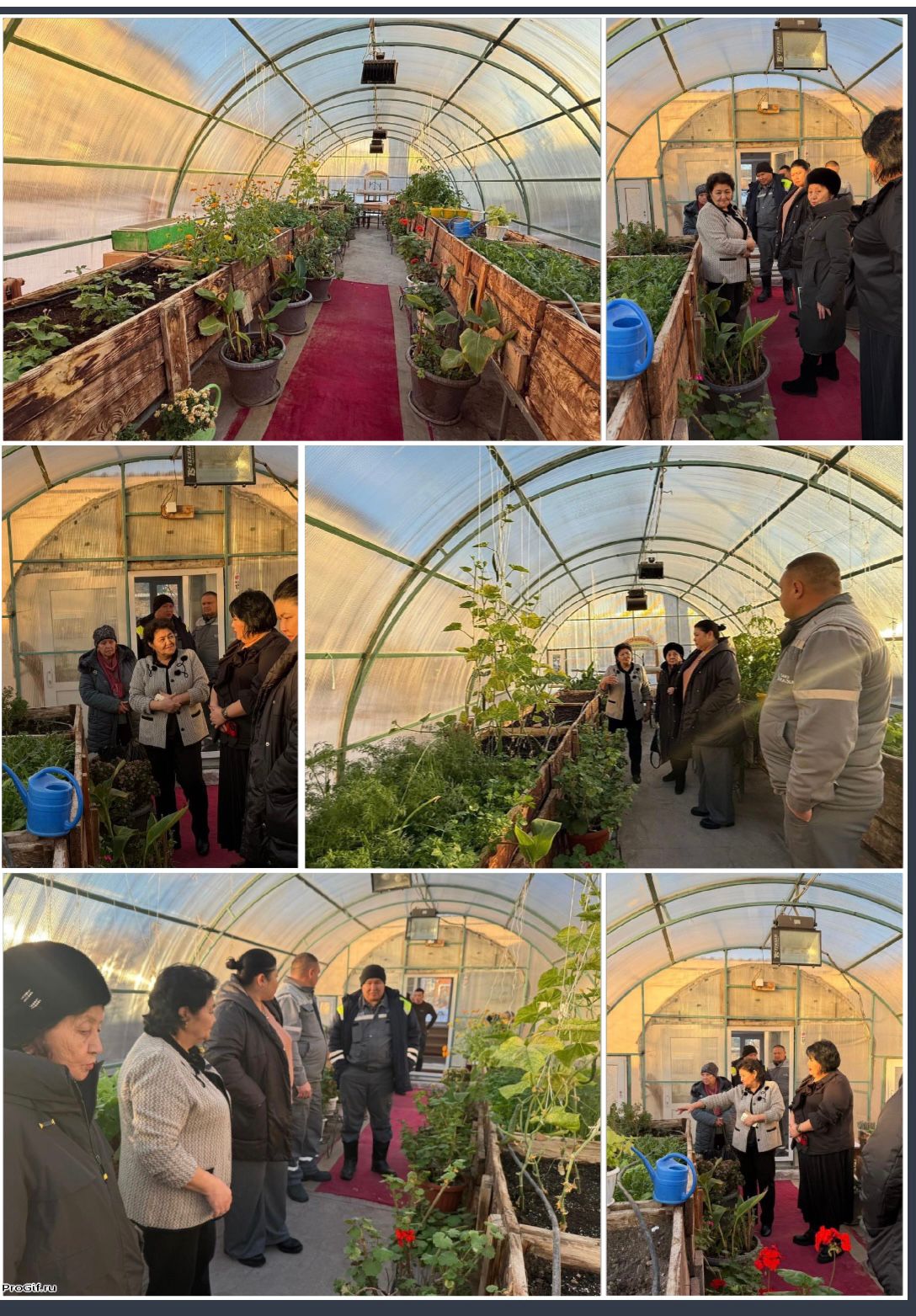 «Балқаш. Тораңғы. Болашақ» жобасы…