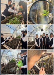 «Балқаш. Тораңғы. Болашақ»…