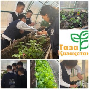 “Таза Қазақстан” республикалық акциясы аясында мектебіміздің жылыжайында тазалық жұмыстарын жүргізді…